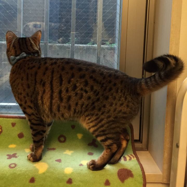 97f92b56 4cca 4ce8 ab41 9f937c93d44a