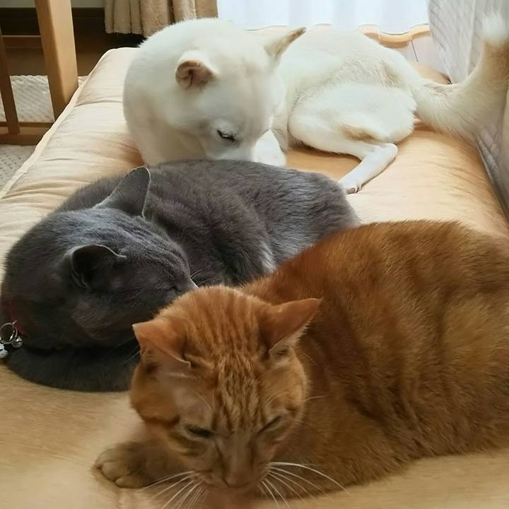 97f95cf4 b5db 4beb bcde 99000be0365a