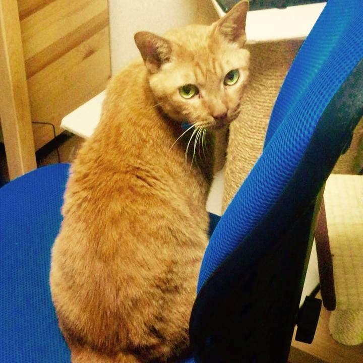 97f99646 2481 4844 b8ca a222f9bc7afa