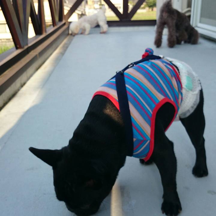 97fa859d 72af 4f18 ba3e b63bdfe0e099