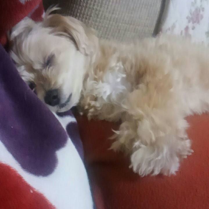 97fb1ccf 7366 442b bcbc 414f208624ff