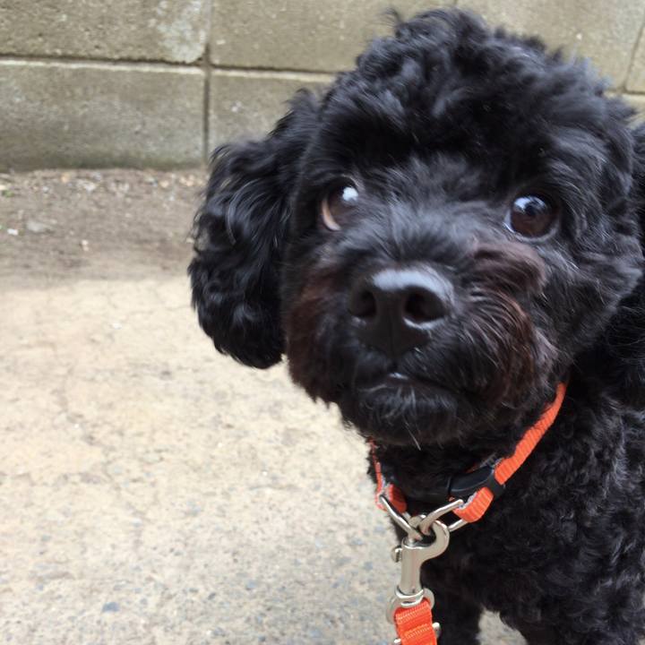 97fb5bb1 55b3 4256 80c1 643249eb7316