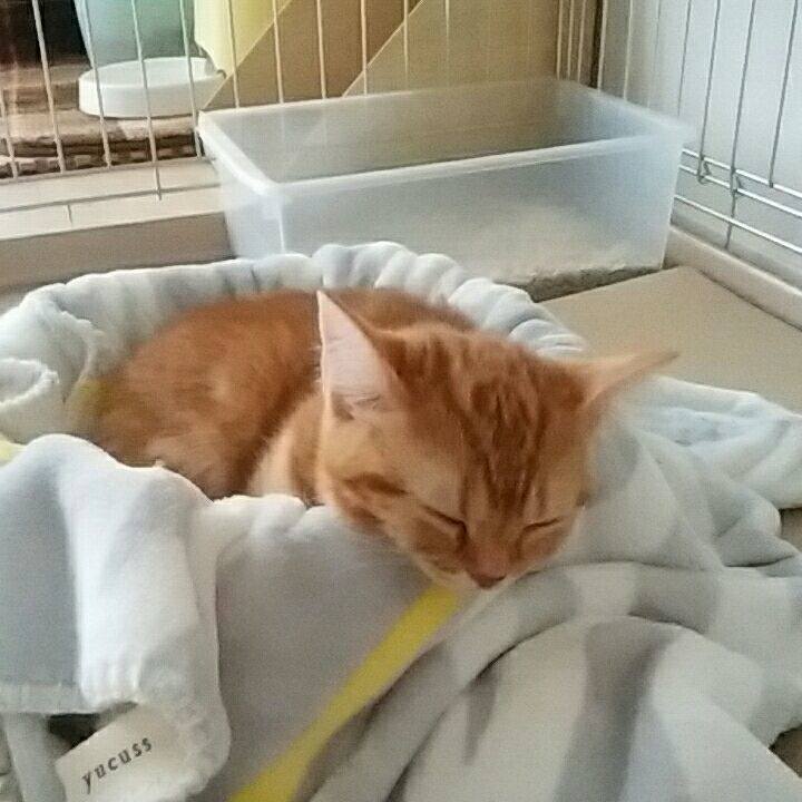 97fbdb0d beb8 4ee6 9234 7ae8572503c3