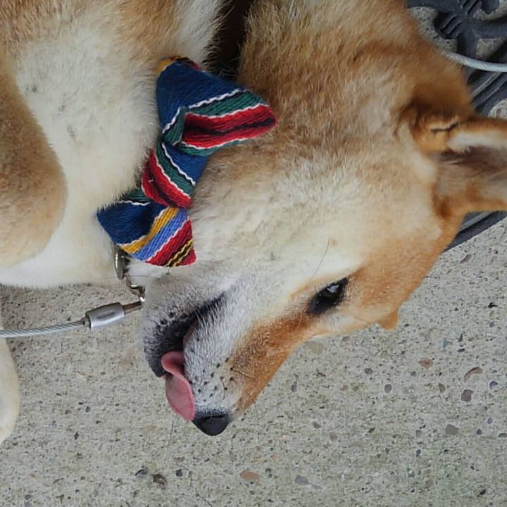 97fcaf14 eae2 4467 b094 c96dbfc4ea07