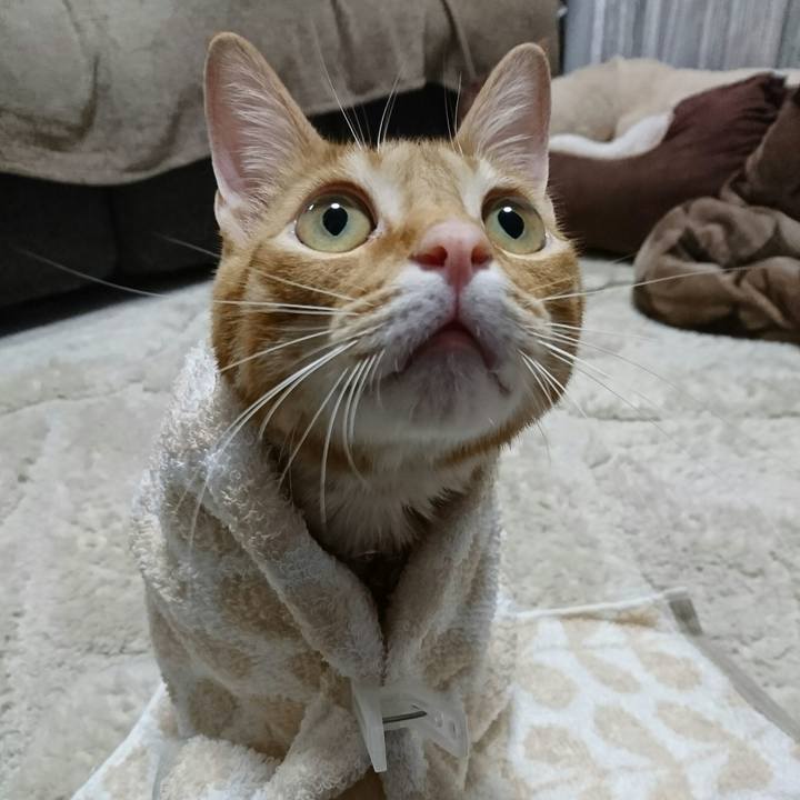 97fd202a f684 473d 95c2 fd36347acb38