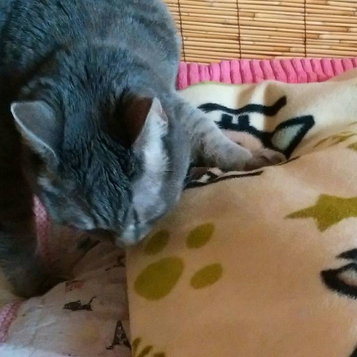 97fdb209 a8e5 4829 adf1 88b518d4528e