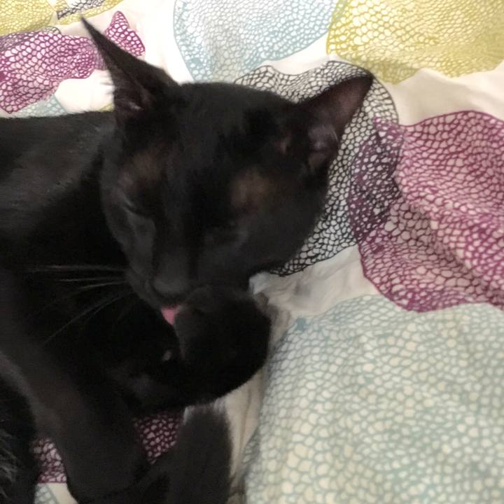 97fde35e 62b8 4b37 9528 657882071566