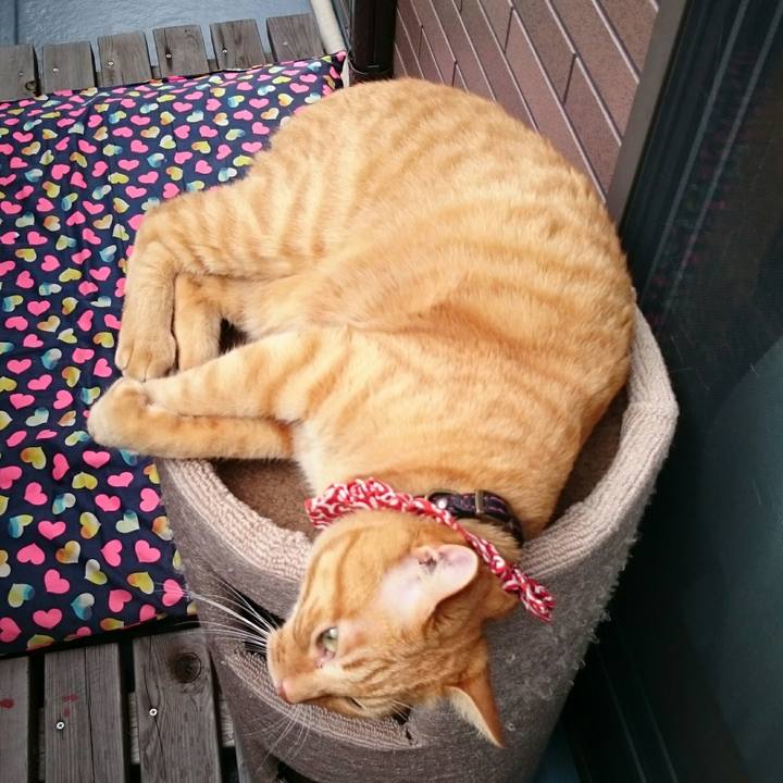 97fe3c83 16ce 4ff9 9568 141f79c47e8b