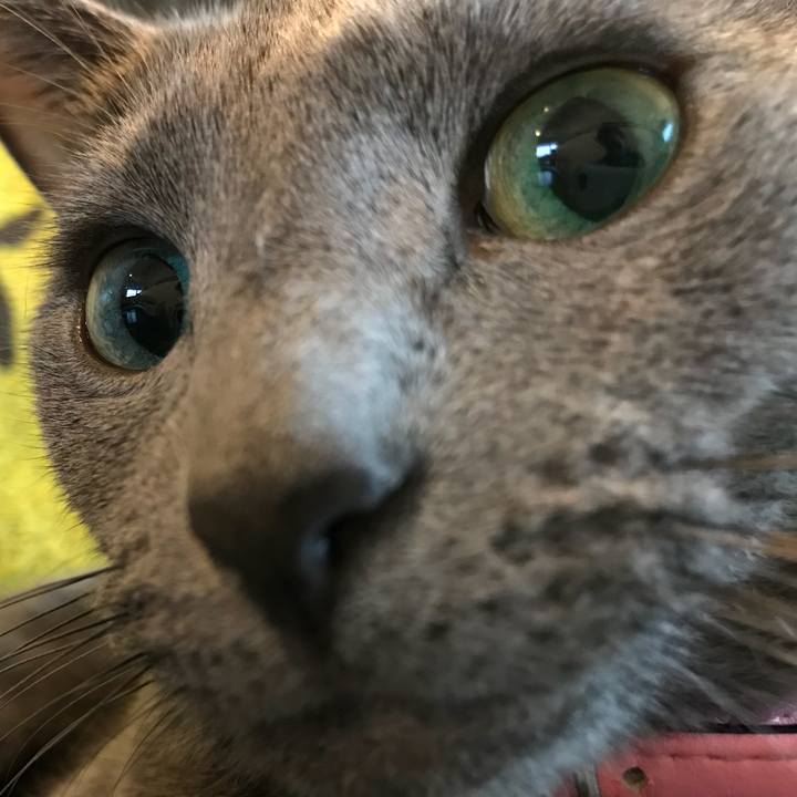 97fe6a9e 0d49 4f92 a40c 298563861eac