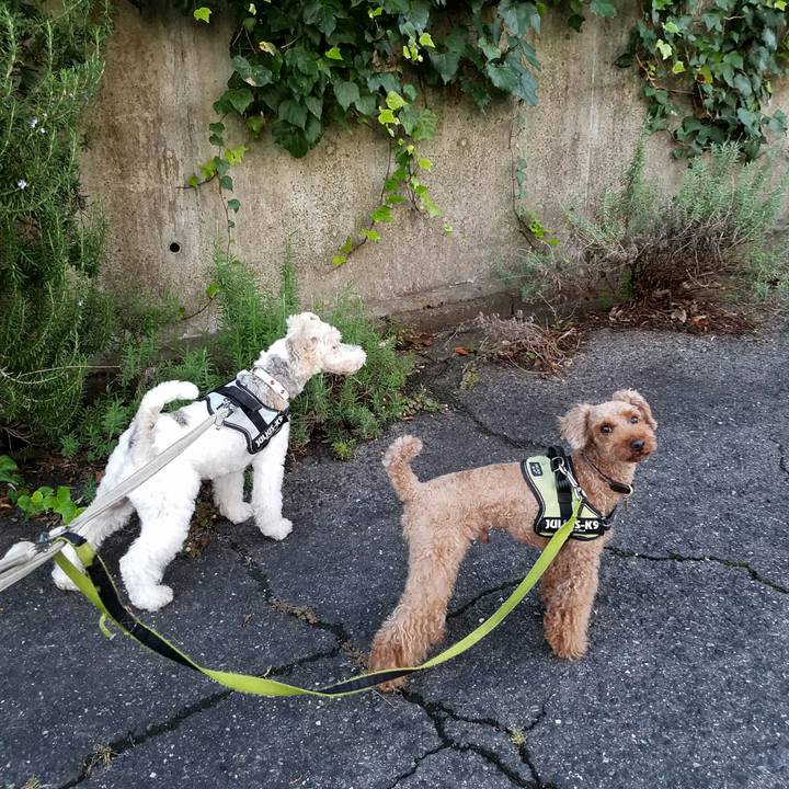 97ff3c33 f292 4067 88ff 4729087617a9