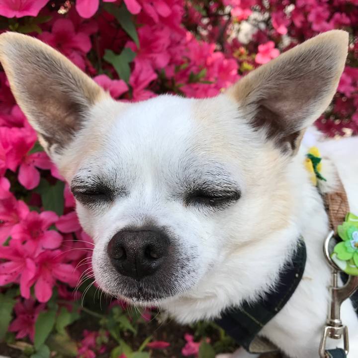 97ffb4aa 0e34 4913 a63b 33c9641fd571