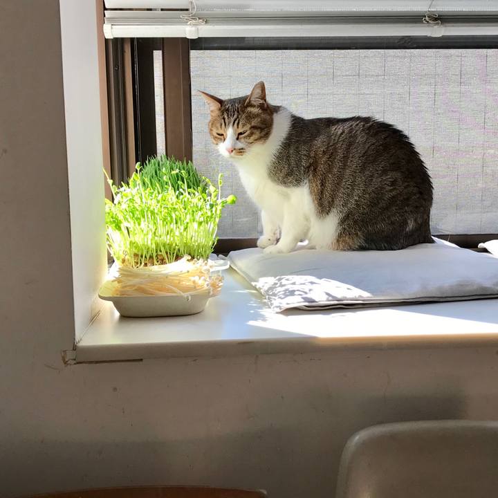 97ffbdb5 76e3 4551 b6c6 eef8db10177a