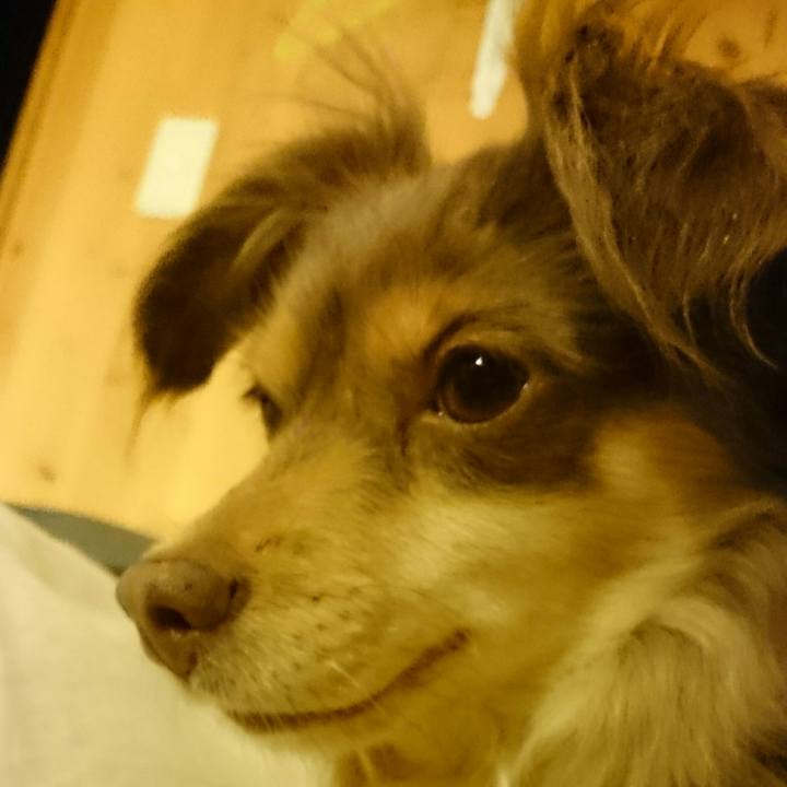 97ffc80f 1c4f 40a9 ae88 64672d5e021a