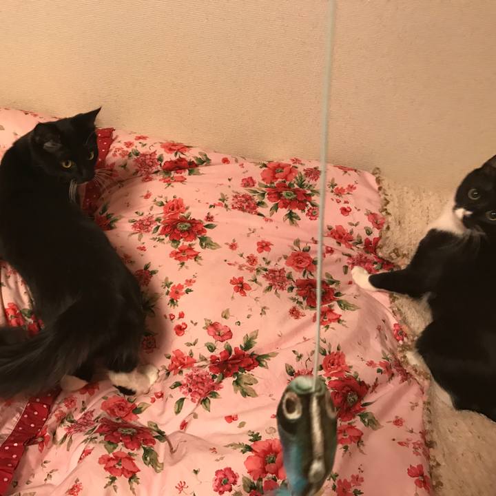 97fff59e fce5 4ebb bbce 95a3fbfcf3d9