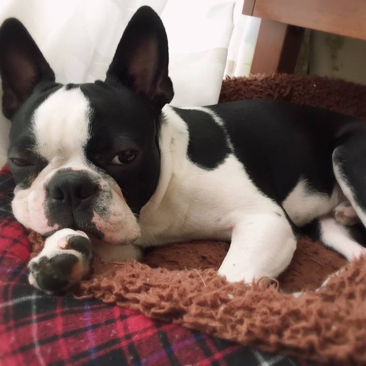 98007b81 7efe 42af 8e23 904590c3475e