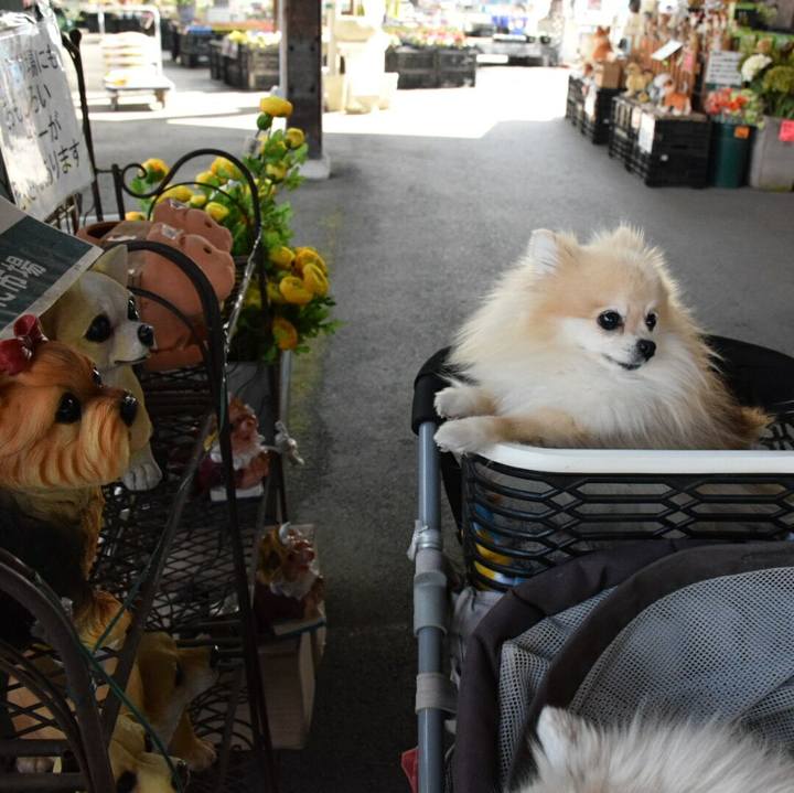 9800921a b93c 4daa 92ef 9d3a68c73007