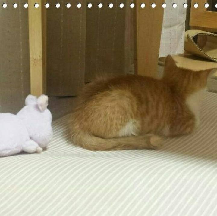 98012c55 60ee 4cd1 85f2 38079ec3c81b