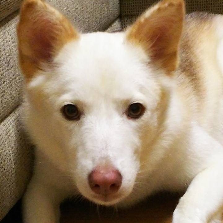 980212dc e6b2 4954 b941 935e2e93458b