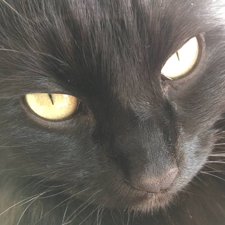 980225b2 f550 44e0 b019 cda4cb98c319