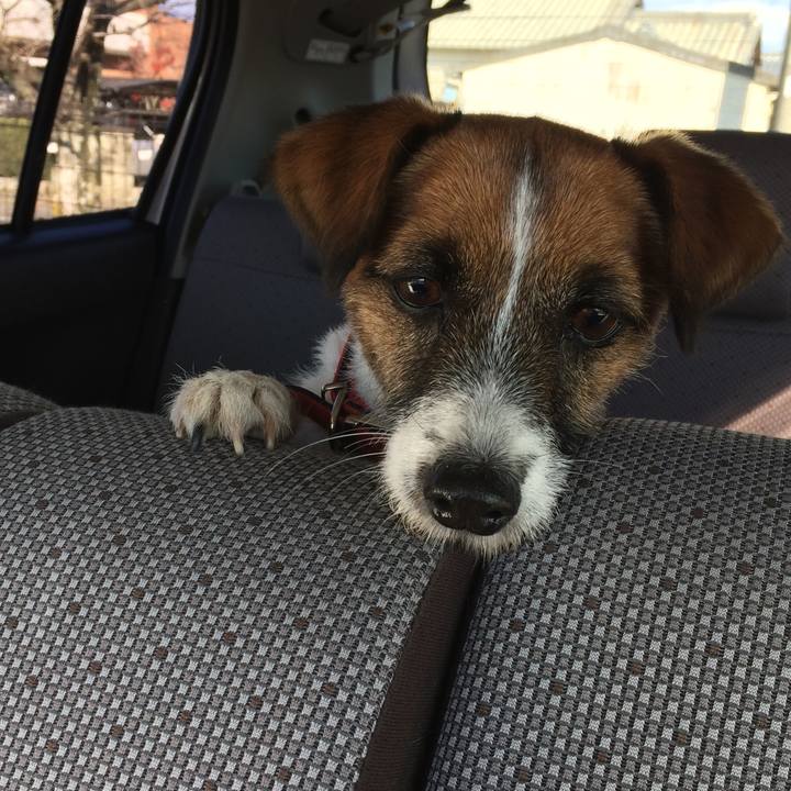 9802304e 401e 4e54 8b37 8375ea902e87