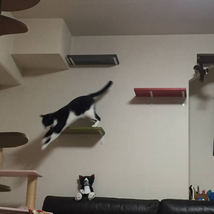 9802b492 375a 498c 81b2 bb638135cae9