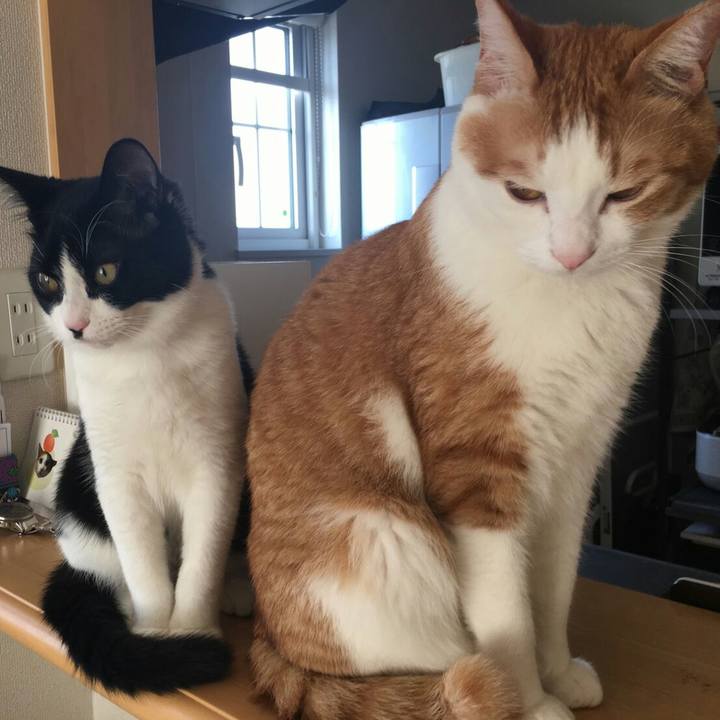 9803a95e e313 47e3 a44e 96d9e84cd3d6