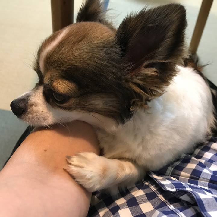 9804786e 03b2 4401 979a 3c44631b0330