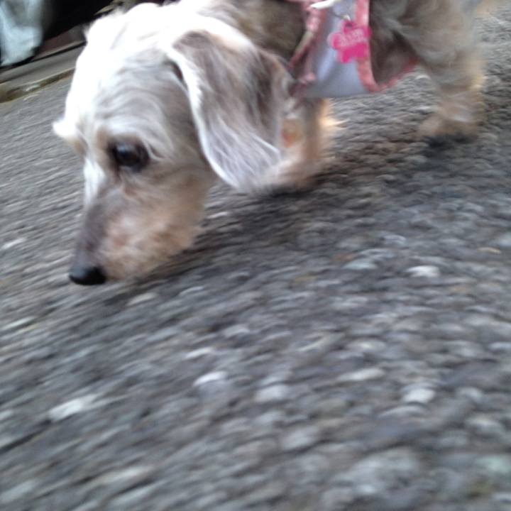 9804cc29 5357 4974 a363 d51a2981084b