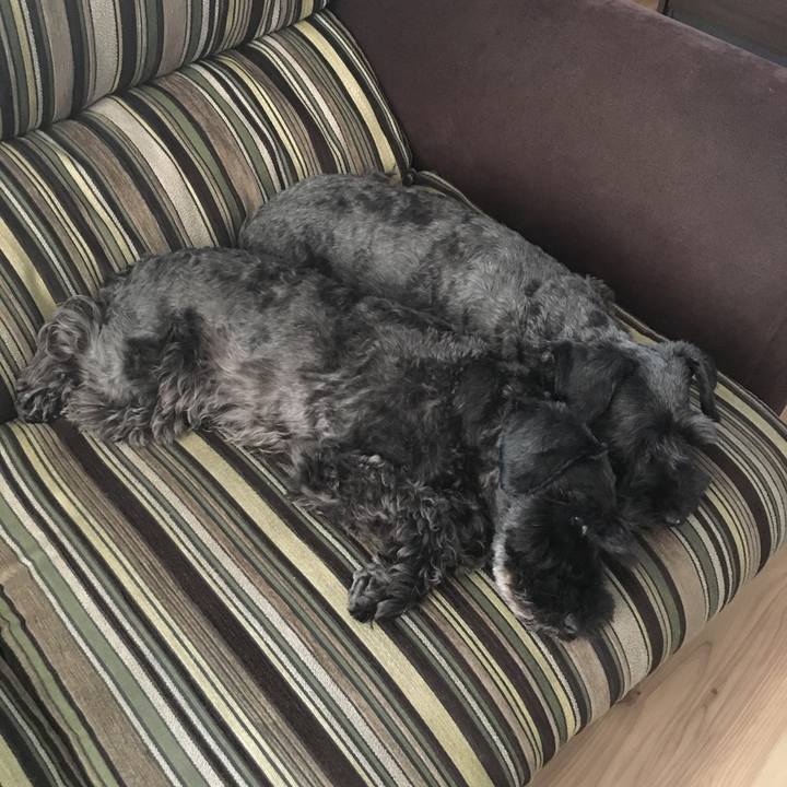 9805097d 6284 44c0 bf7f 5cf0e0faa314