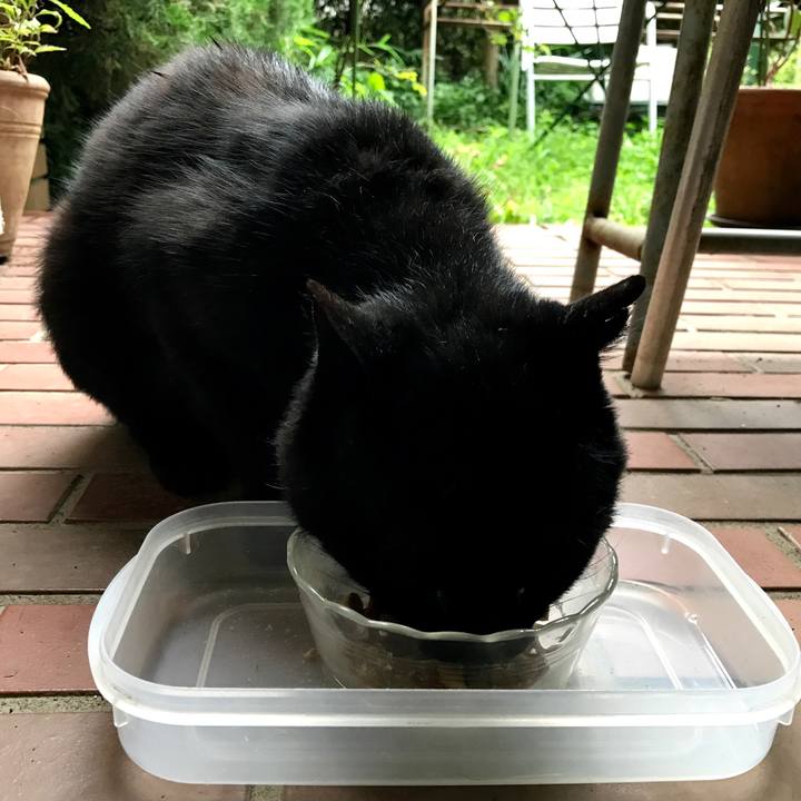 980514d7 8883 49c7 a83f 7a38cd53dcf3