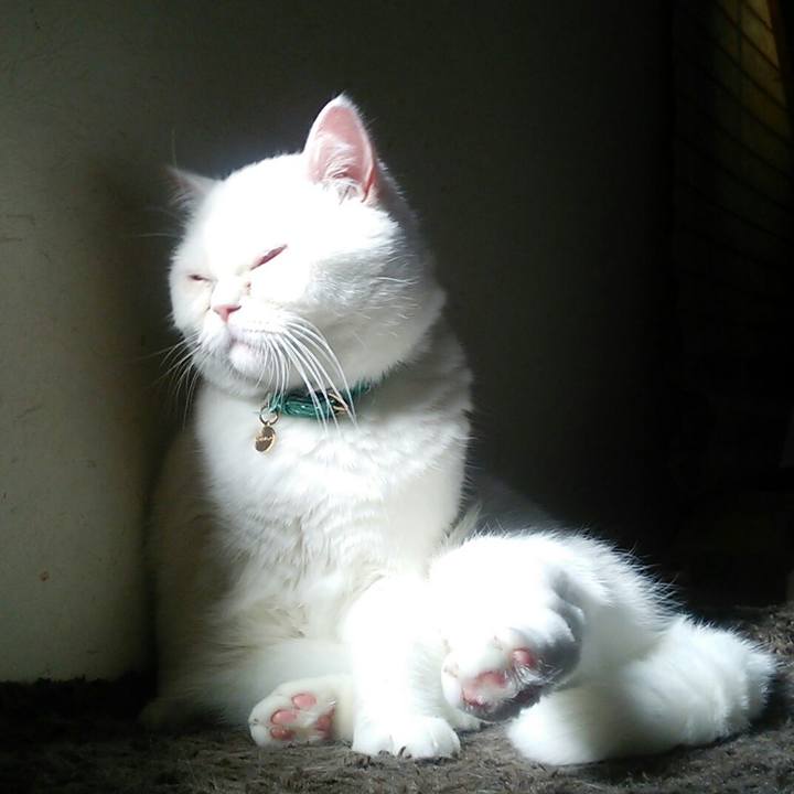 9805d68f 2d16 4127 8c82 e62928f97edd