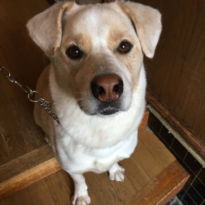 9805e875 4f56 4818 95fe 5da82445bfa4