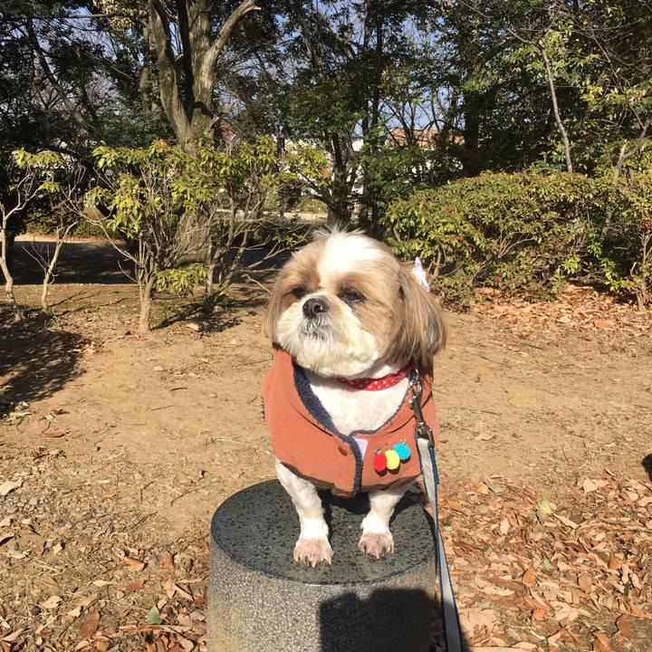 9805eb7c c8a1 4469 9bb2 23f0d5cd5191