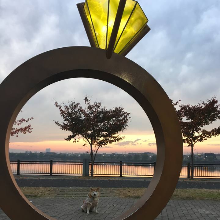 98063ce4 c930 48cd 85ef 2619e55144a7