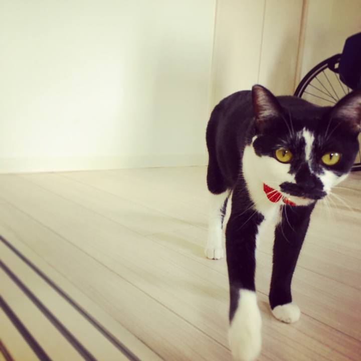 98064adc f22e 4e0f 8039 8a6dcbe98468