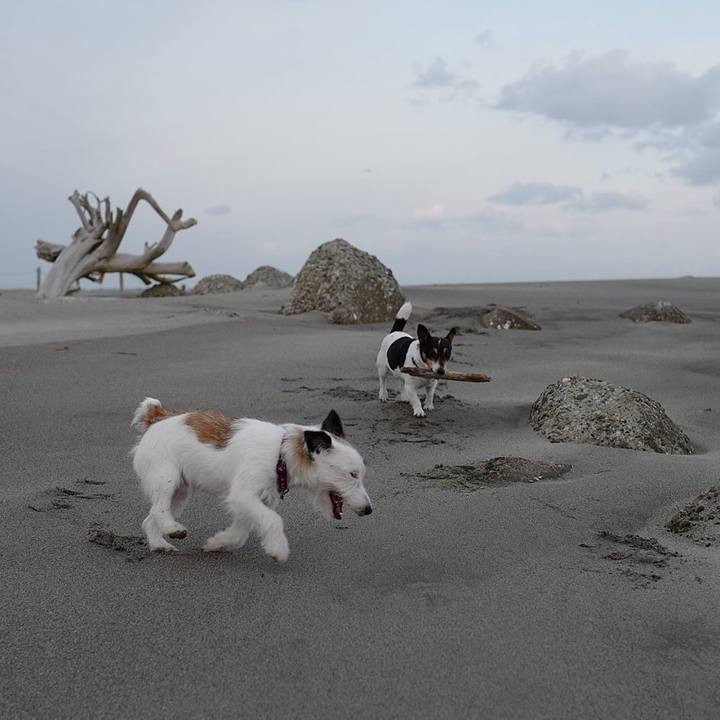 980684fd 7a3e 4a52 93e2 d5df1c7ef7f6