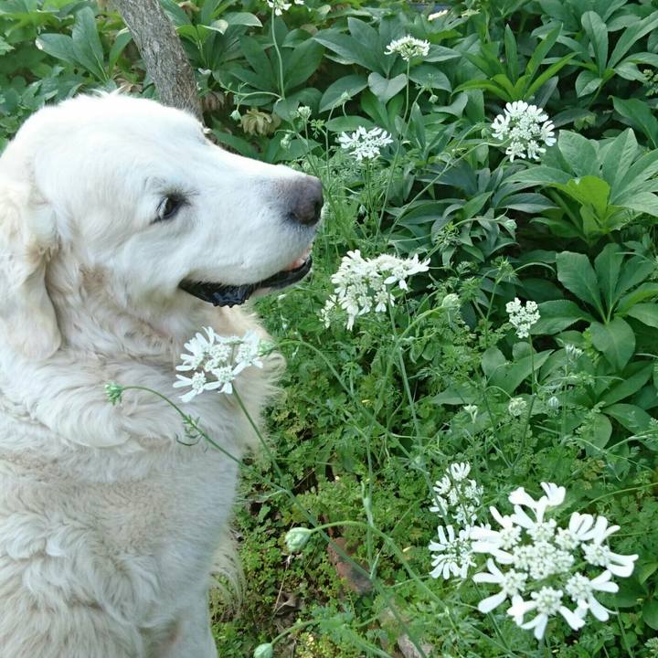 98068605 4bb3 4c77 a57f 279638bd8c2c