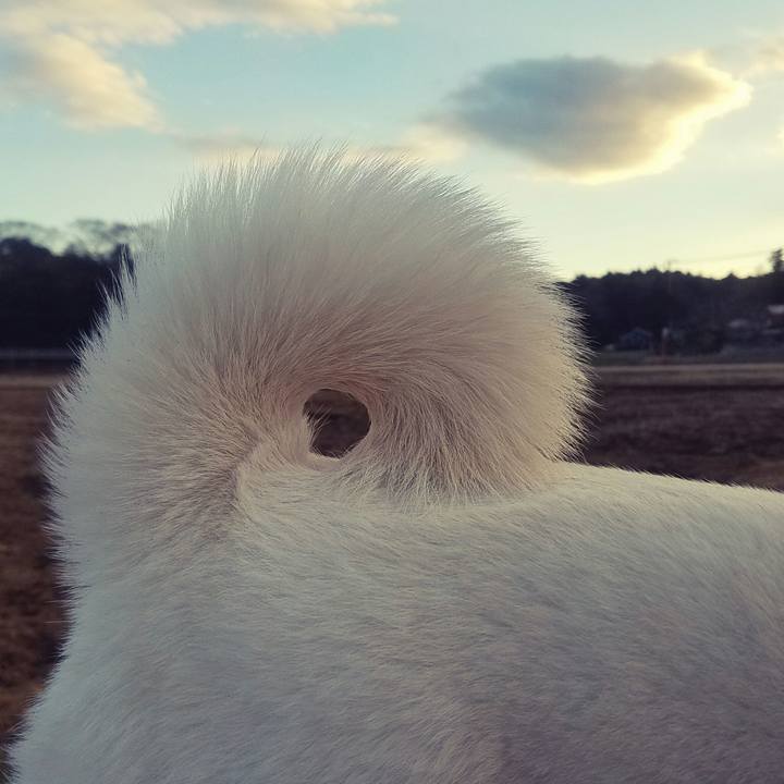 98069448 8d4d 4aac a58b de805b66c993