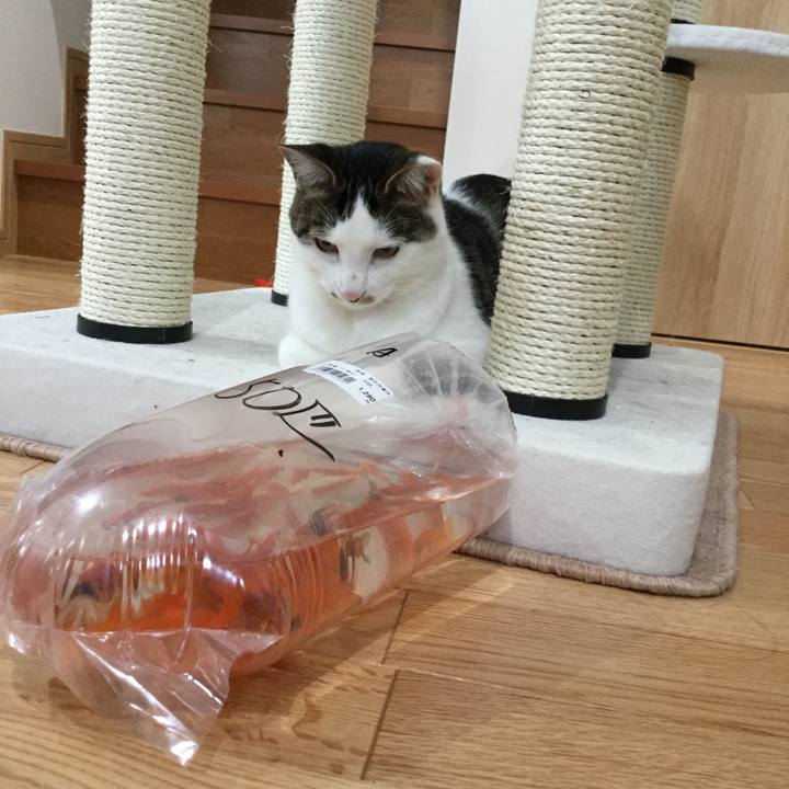 98069a35 9617 431a a4af 905e2e5bfe9f