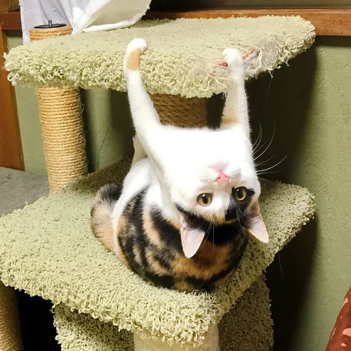 980824c4 a250 4d12 a541 8ce340c20847