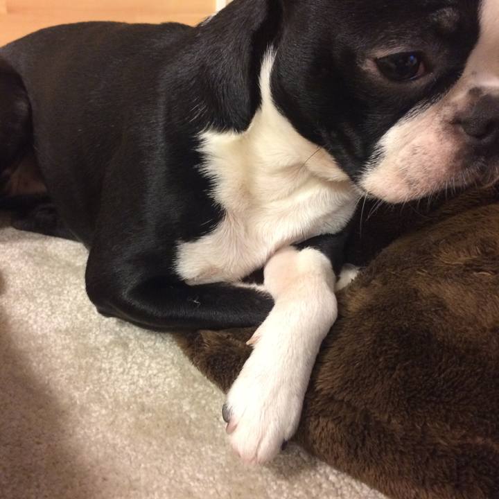 98084666 fb98 4a52 b00e 278e621710ed