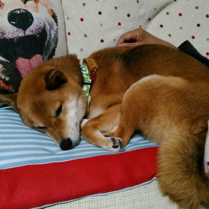 9808a7b1 f0fc 4f20 a901 642a900e250b