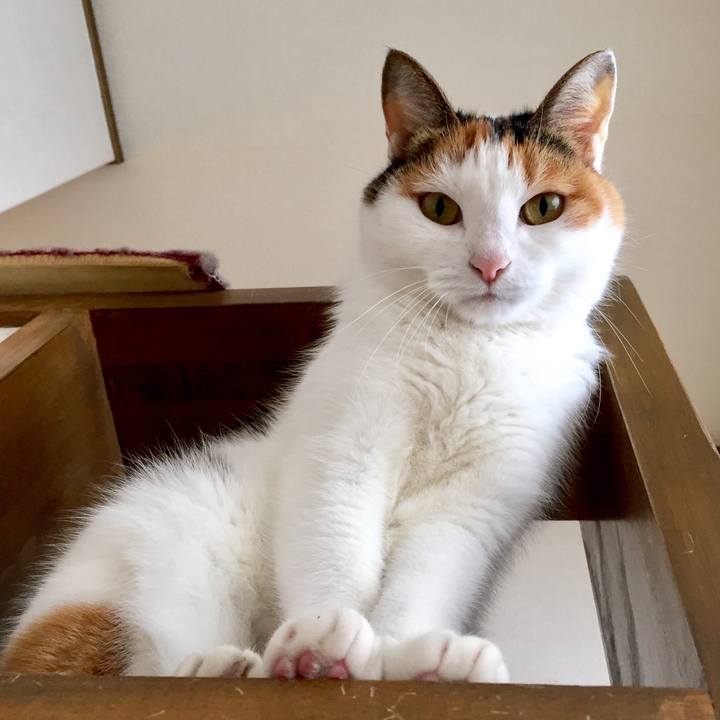 9808c6a7 499c 43d3 8ec6 5281d1d00f70