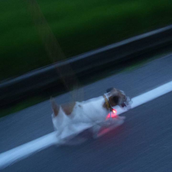 98093def 659e 4a3f bffe d28757d115dc