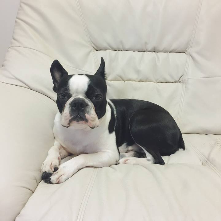 98093e05 5191 43f3 bd2d 79ba029609f7