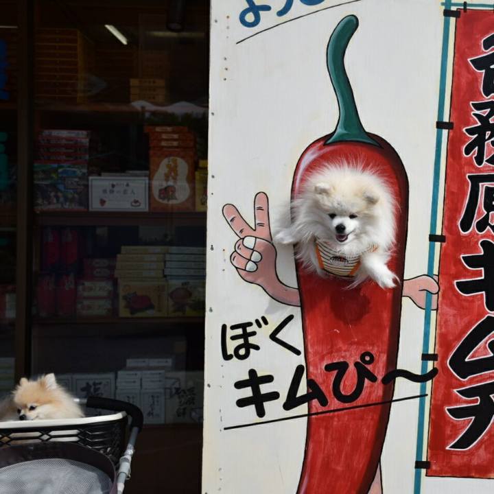 980ac9af 3ed0 4ccf bc3f a4bc72374164