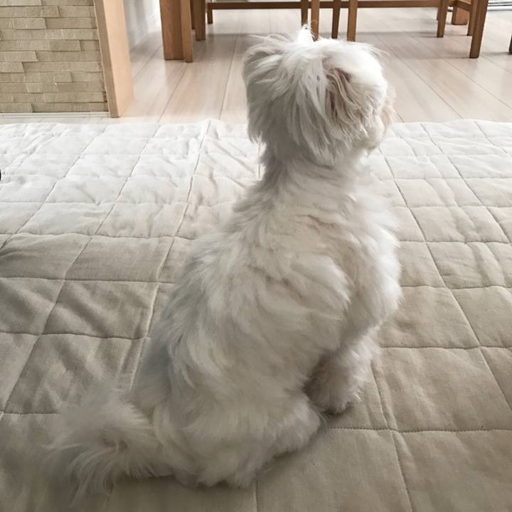 980acfec 3b98 41bf bd82 aab19dbd410c