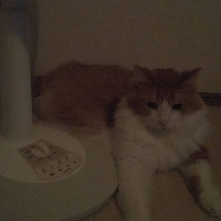 980b3640 172b 4592 86c5 c82170344435