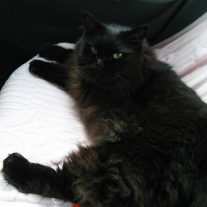 980bae93 759d 4532 a57a 0befde3598d0