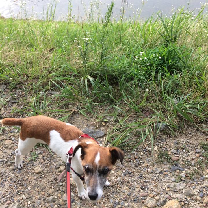 980bb75c ceec 4e14 9cbc dbd69497fb61